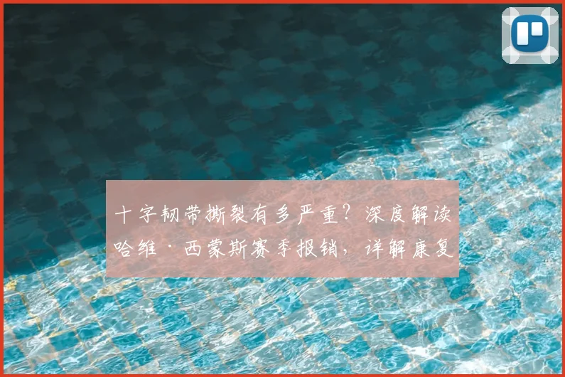 十字韧带撕裂有多严重?深度解读哈维·西蒙斯赛季报销,详解康复时间与2026世界杯前景